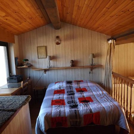 T3 Tres Agreable, 2 Terrasses, Bien Place Amélie-les-Bains-Palalda Kültér fotó